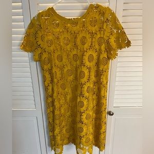 Ann Taylor lift sunflower embroidered knee length dress